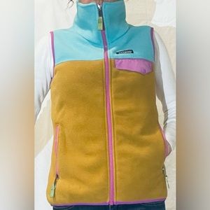 Patagonia Colorblock Fleece Vest
